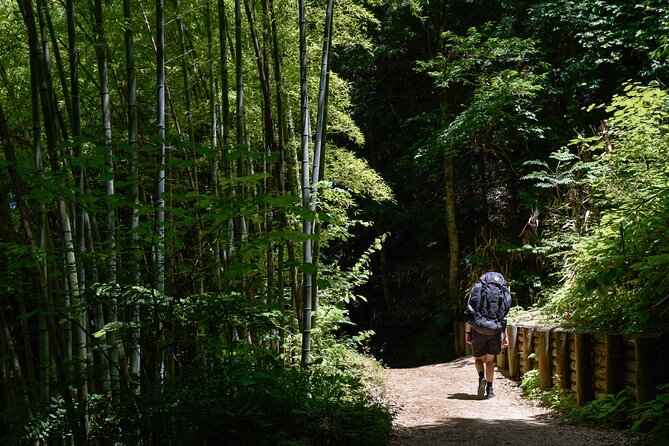 Magome & Tsumago Nakasendo Trail Day Hike With Government-Licensed Guide - Inclusions and Exclusions
