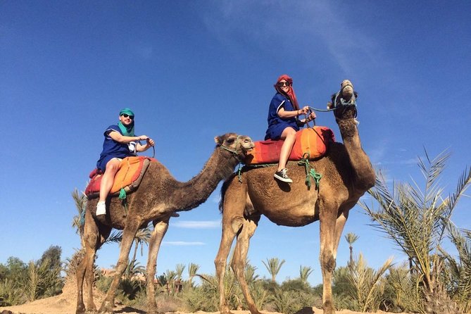 Majorelle Garden and Palmeraie Camel Ride Marrakech - Camel Ride Experience