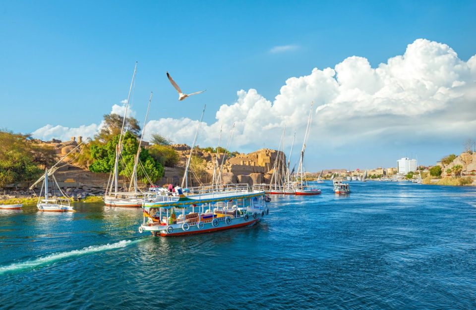 Makadi Bay: Luxor Highlights, King Tut Tomb & Nile Boat Trip - Guest Reviews
