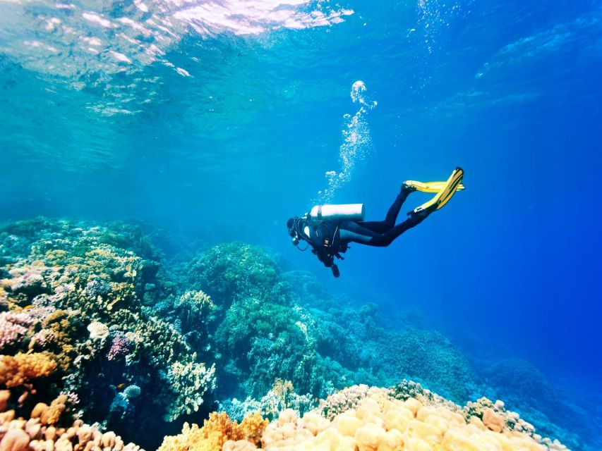 Makadi Bay: Snorkel, Dive, Parasail & Orange Island W/ Lunch - Customer Reviews