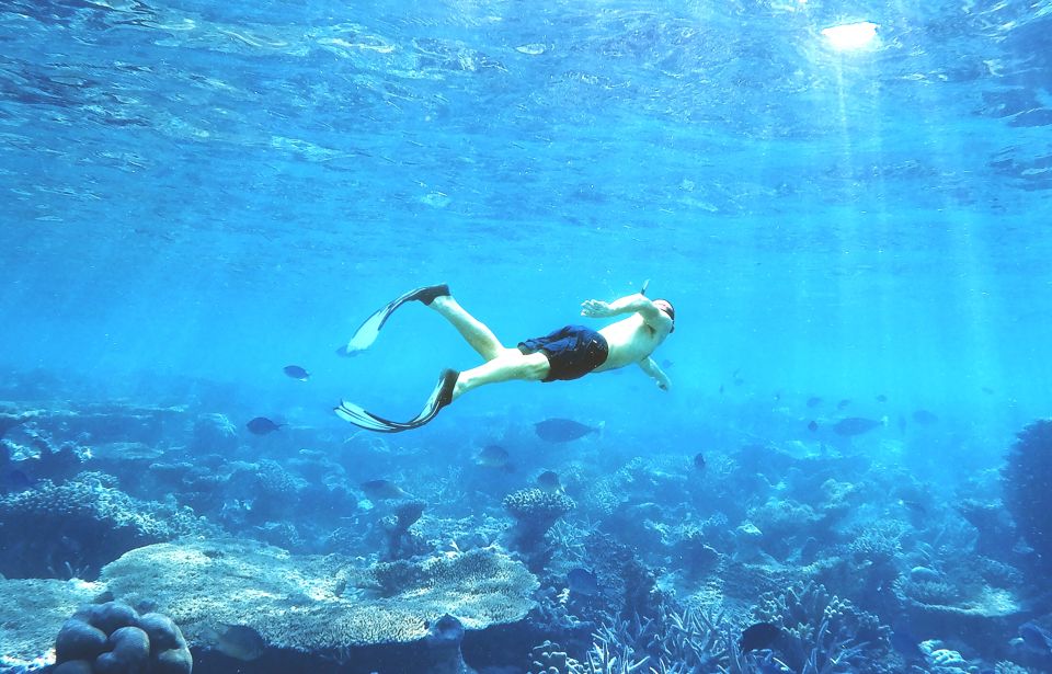 Makadi: Orange Island Snorkeling, Diving, and Water Sports - Activity Highlights