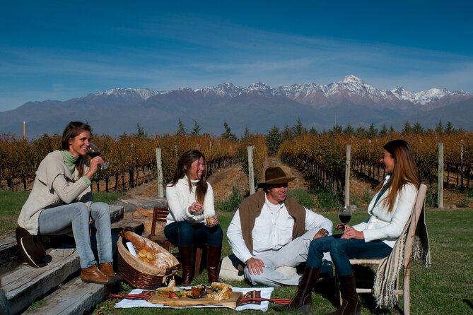 Malbec & Mountain Uco Valley Private Wine Tour With Gourmet Lunch - Gourmet Lunch Experience