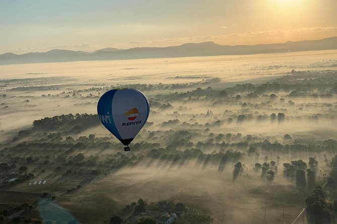 Mallorca Hot Air Balloon Ride (Mar ) - Customer Feedback and Testimonials