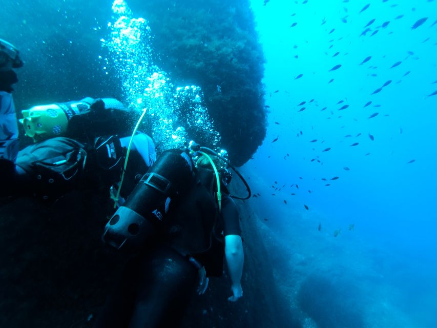 Malta: Scuba Diving Lesson & Guided Excursion - Customer Reviews