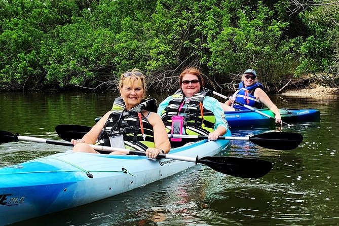 Manatee and Dolphin Kayaking Encounter - Booking Information