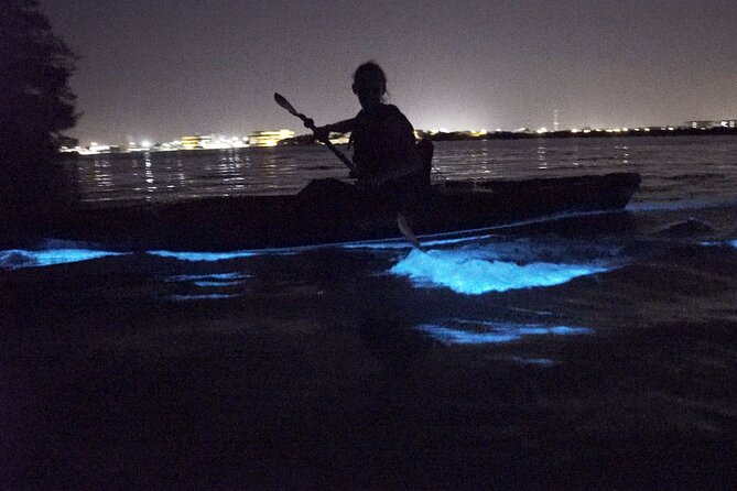 Manatees/Sunset/Bioluminescence Tour - Tour Information