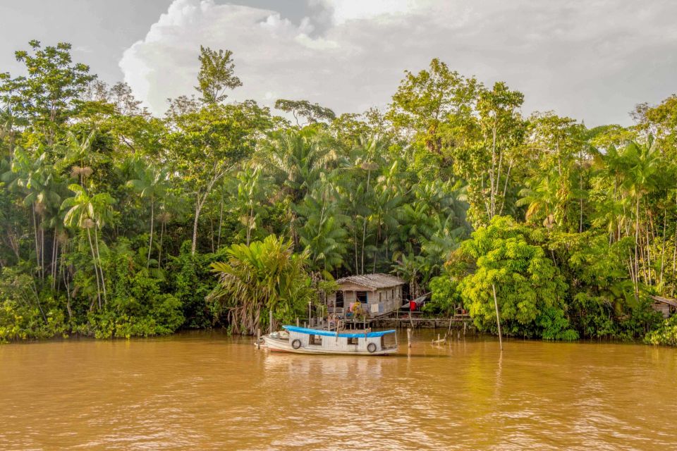 Manaus: 2, 3 or 4-Day Amazon Jungle Tour in Anaconda Lodge - Daily Activities and Highlights
