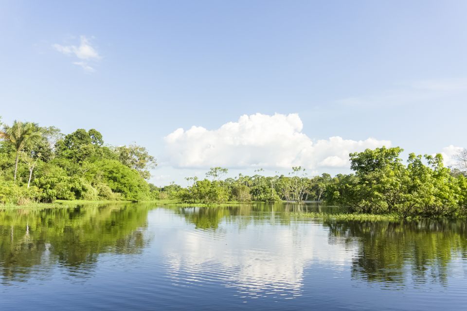 Manaus: Amazon River Stand-Up Paddle - Activity Highlights