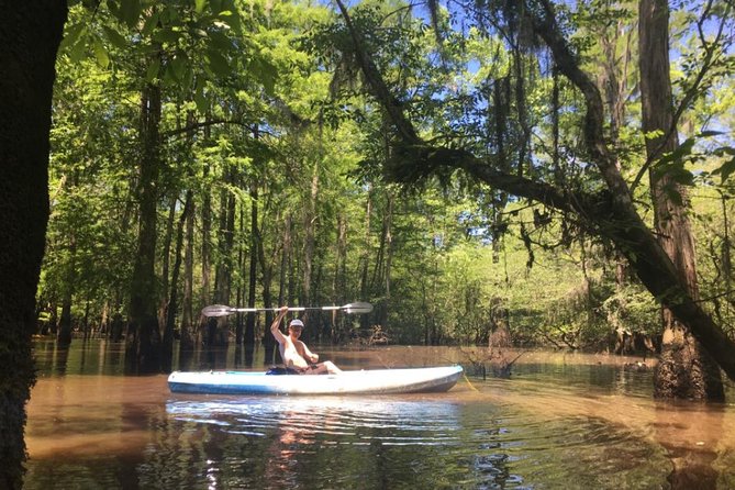 Manchac Swamp Kayak Small-Group Tour - Meeting and Departure Points