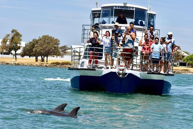 Mandurah Dolphin Cruise & Views - Customer Reviews