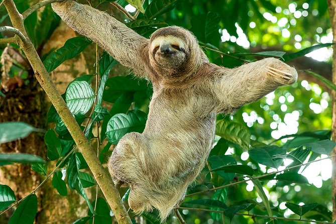 Mangrove Boat Tour Damas Island Manuel Antonio - Customer Feedback