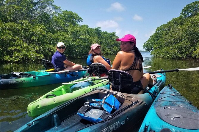 Mangrove Tunnel Kayak Adventure in Key Largo - Customer Reviews and Ratings