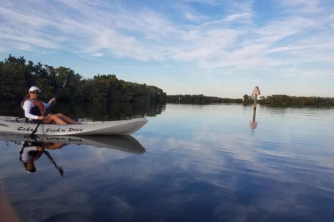 Mangrove Tunnel, Manatee and Dolphin Kayak Tour of Cocoa Beach - Wildlife Encounters and Ecosystem