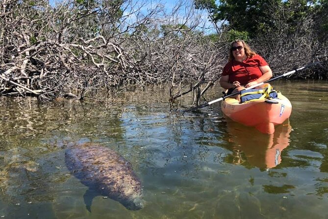 Mangroves and Manatees - Guided Kayak Eco Tour - Additional Info