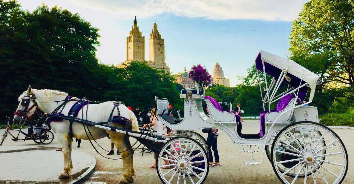 Manhattan: VIP Private Horse Carriage Ride in Central Park - Carriage Details and Capacity Information