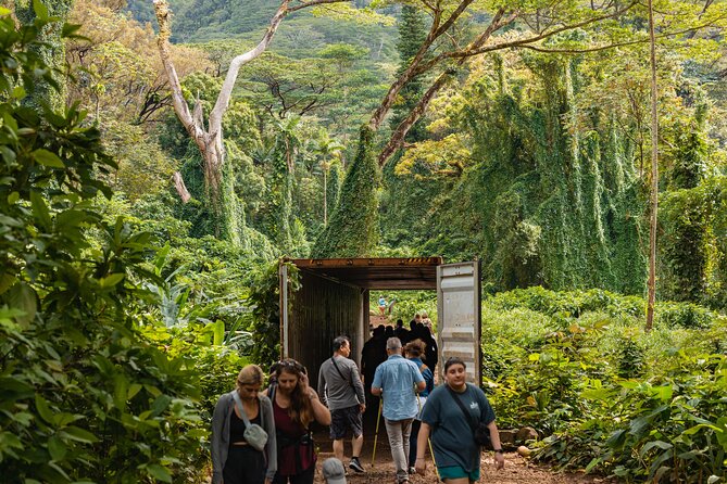 Manoa Waterfall Hike With Healthy Lunch Included From Waikiki - Guide Information and Safety Tips