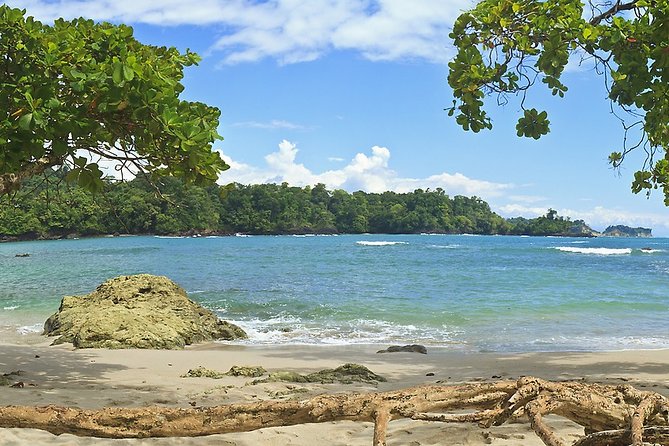 Manuel Antonio National Park Day Trip From San Jose - Traveler Experiences and Reviews