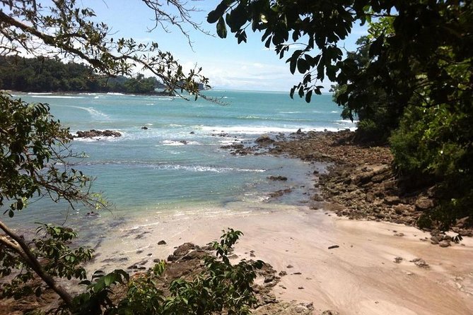 Manuel Antonio National Park Guided Tour - Traveler Engagement