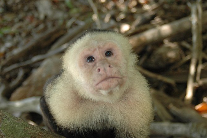 Manuel Antonio National Park Hiking Tour - Directions