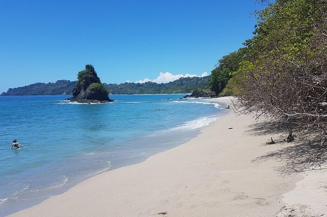 Manuel Antonio National Park Sightseeing and Wildlife Day Tour From San Jose - Customer Reviews and Ratings