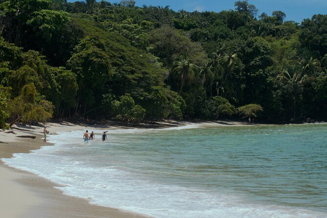 Manuel Antonio National Park Tour - Booking and Reviews