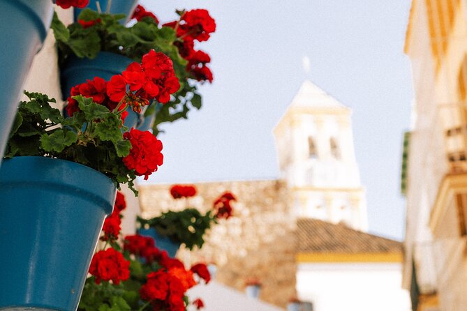 Marbella Old Town: Private Walking Tour - Booking Details