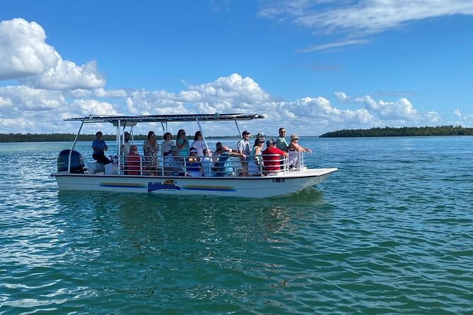 Marco Island Dolphin Sightseeing Tour - Recommendations and Highlights