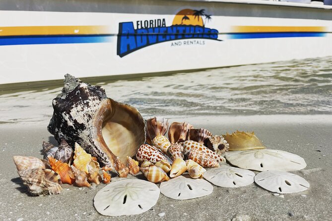 Marco Island Wildlife Sightseeing and Shelling Tour - Tour Highlights and Activities