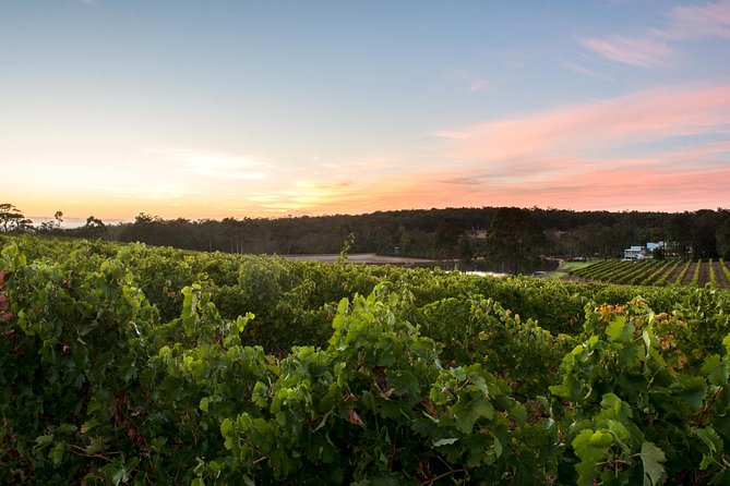 Margaret River Indulge and Discover Day Tour - Pricing and Booking Details