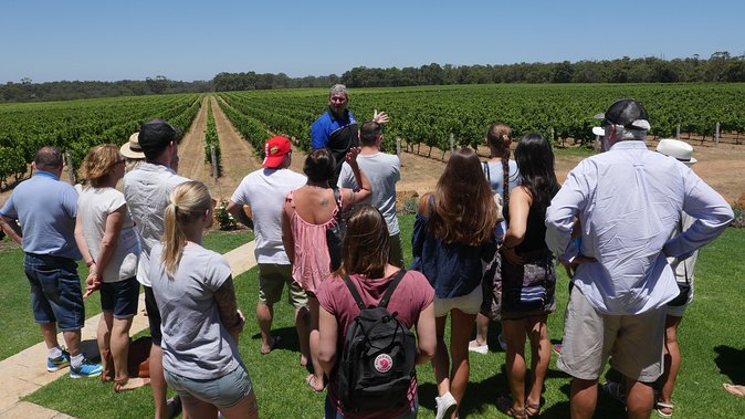 Margaret River Wine Tour: The Full Bottle - Customer Reviews and Feedback