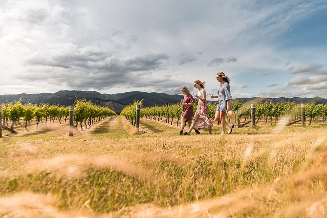 Marlborough Afternoon Wine Tour With Tastings - Cancellation Policy