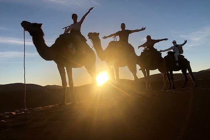 Marrakech: 2 Days Tour to Sahara Zagora Desert & Ait-Benhaddou - Cultural Exploration Highlights