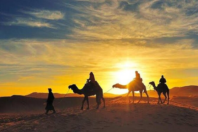 Marrakech Agafay Desert Dinner in Berber Camp & Camel Ride - Highlights of the Tour Experience