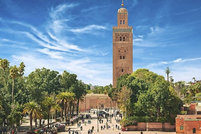 Marrakech Day Trip Including Lunch, Camel Ride From Casablanca - Customer Feedback and Reviews