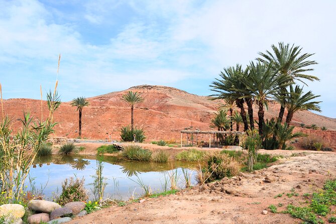 Marrakech Desert Buggy Tour Including Berber Tea Break and Transfer - Pricing Details and Booking Process