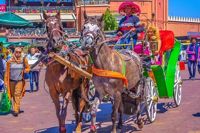 Marrakech Private Souks Shopping Tour - Must-Visit Stalls