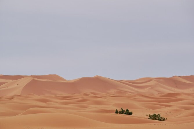 Marrakech to Merzouga 3 Days Desert Tour - Common questions