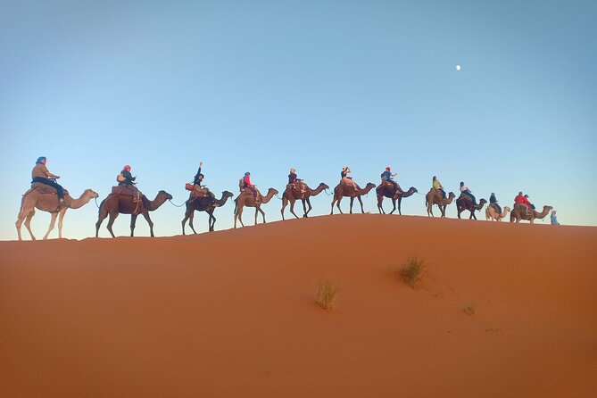 Marrakesh 3 Days Tour to Fez With Overnight Desert Camping - Common questions
