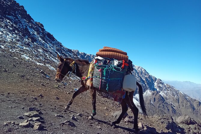 Marrakesh Private 2-Day High Atlas Mountains Trek  - Marrakech - Additional Resources