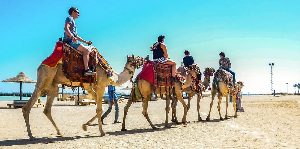 Marsa Alam: Sea and Desert Camel Riding Tour - Location Information