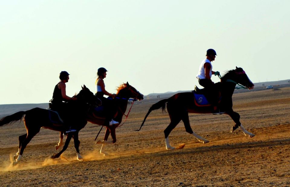 Marsa Alam: Sea and Desert Horse Riding Tour - Experience Highlights