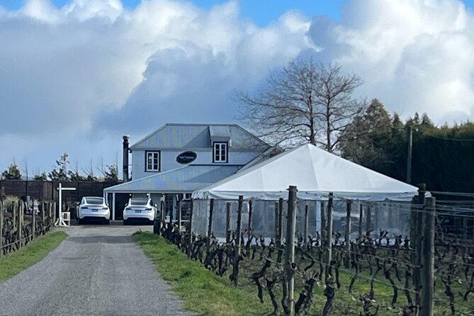 Martinborough High Tea and Wine Tour in Tesla SUVs - Booking Information