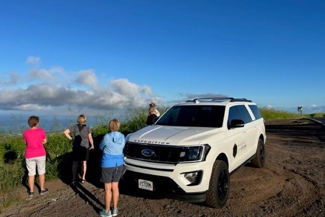 Maui by Storm: Epic Private Luxury Road to Hana Adventure Tour - Customization Options