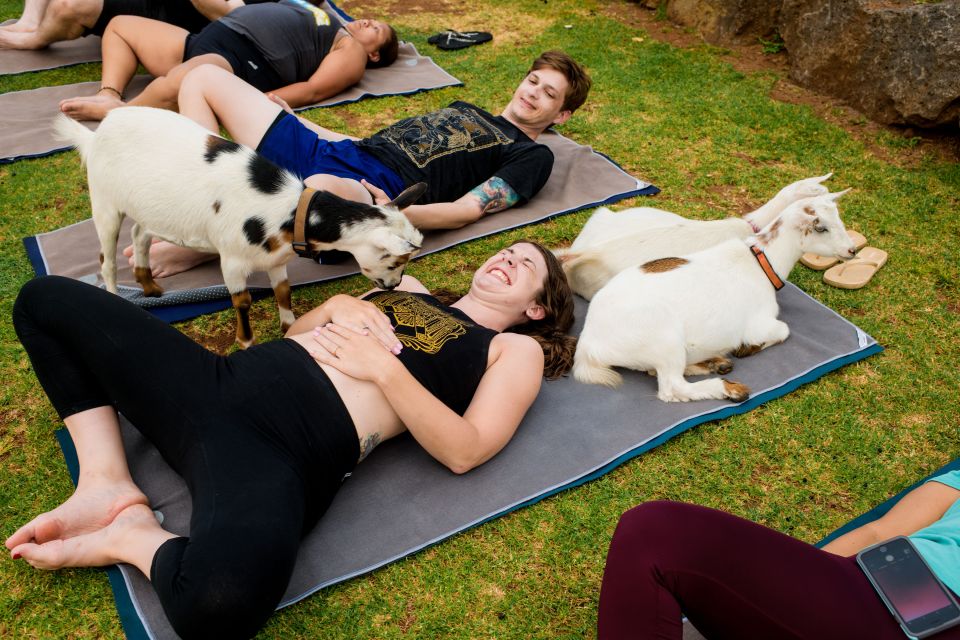 Maui Goat Yoga With Miniature Goats - Instructor Information