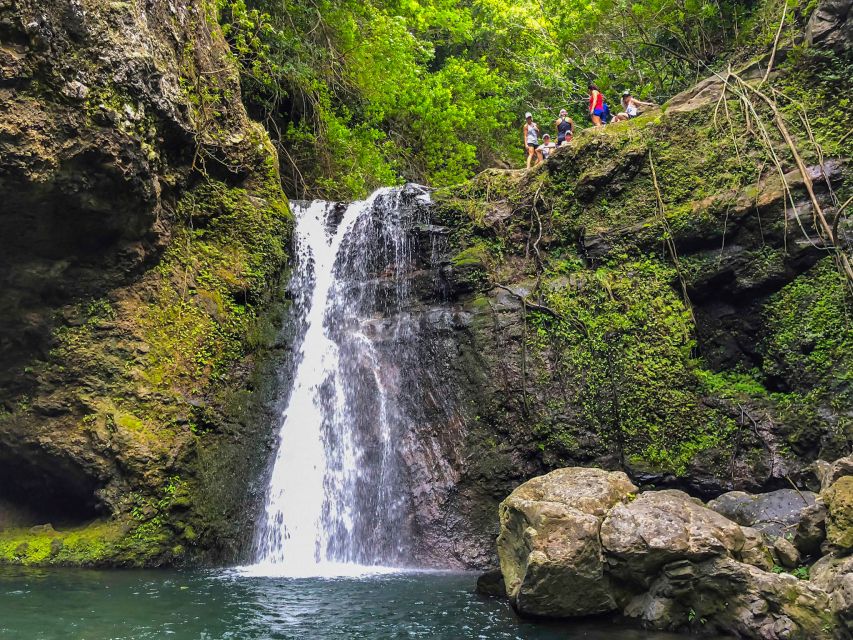 Maui: Private Jungle and Waterfalls Hiking Adventure - Jungle Exploration and Waterfall Discovery