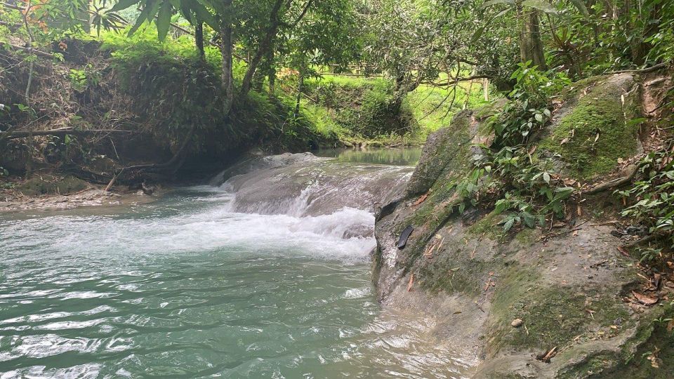 Mayfield Falls River Walk With Private Transportation - Similar Water Adventures in Jamaica