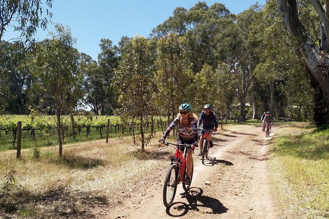 McLaren Vale Wine Tour by Bike - Tour Guide Ian and Tour Experience