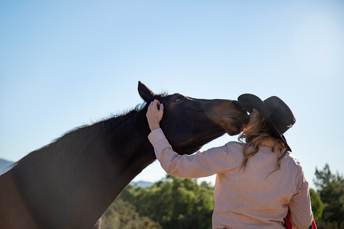 Medellin: Horseback Riding Adventure In Nature (Dont Overpay) - Expectations and Requirements for Participants