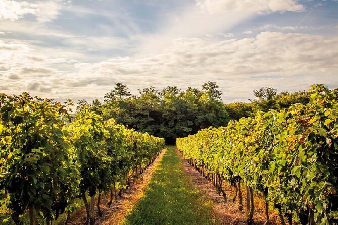 Médoc Region Half-Day Wine Tour With Winery Visit & Tastings From Bordeaux - Tour Inclusions