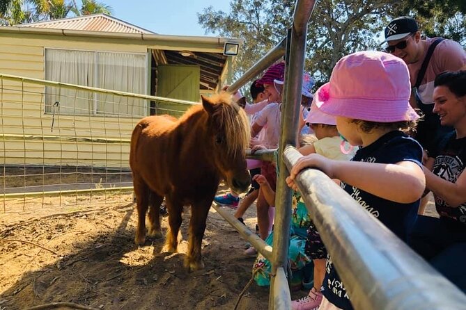 Meet the Animals: Small-Group Farm Tour, Brisbane (Mar ) - Group Size and Ideal Participants